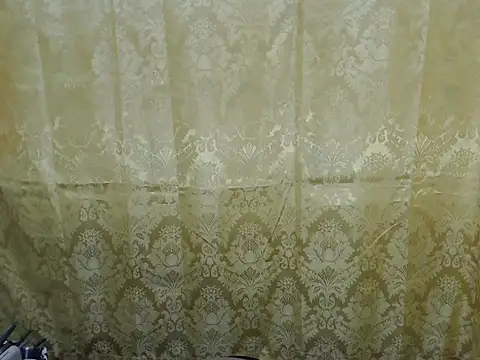 Snapshot of Soft_Angel8 chatting on February 13, 2026, 12:16 pm Soft Angel8 online show from February 13, 2026, 12:16 pm