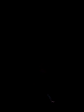 Snapshot of cumitted chatting on November 2, 2025, 2:16 am cumitted online show from November 2, 2025, 2:16 am