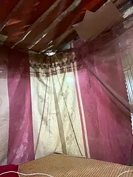 PhanHaa online show from September 22, 2025, 2:50 am