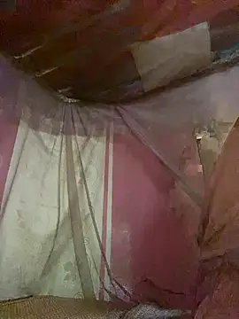 PhanHaa online show from October 7, 2025, 3:29 am