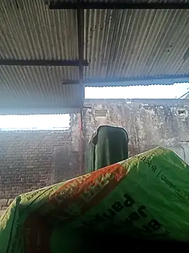 cut renukadevi online show from December 5, 2025, 2:10 am