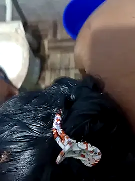 Snapshot of WholeAltimeter25 chatting on October 27, 2025, 4:13 am WholeAltimeter25 online show from October 27, 2025, 4:13 am