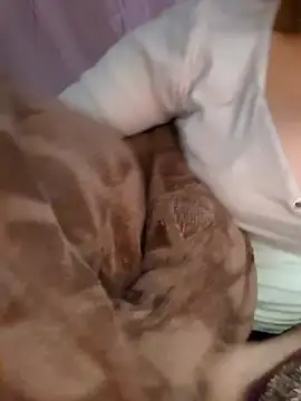 Snapshot of Nana-bar chatting on November 24, 2025, 3:01 pm Nana-bar online show from November 24, 2025, 3:01 pm