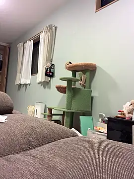 Snapshot of aki_2727 chatting on October 10, 2025, 12:17 pm aki 2727 online show from October 10, 2025, 12:17 pm