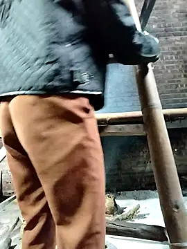 Snapshot of Sinejdk3 chatting on October 24, 2025, 8:13 am Sinejdk3 online show from October 24, 2025, 8:13 am