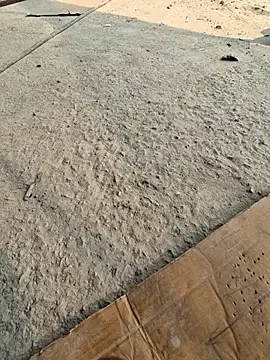 UP16LT5355 online show from November 23, 2025, 7:40 am