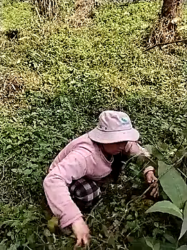 quynhkoolbae online show from March 10, 2026, 2:37 am