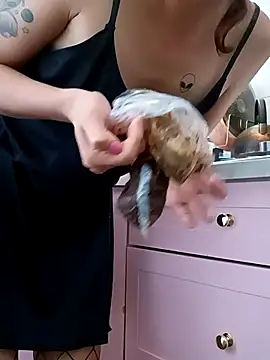 Snapshot of MoonBlueSex chatting on October 8, 2025, 4:40 pm MoonBlueSex online show from October 8, 2025, 4:40 pm