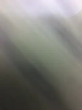 Snapshot of HaltBrand chatting on October 22, 2025, 11:03 pm HaltBrand online show from October 22, 2025, 11:03 pm