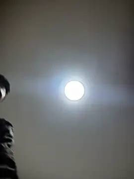 HaltBrand online show from December 19, 2025, 8:33 pm