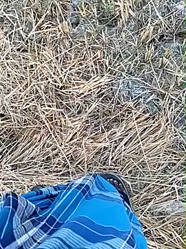 dolphiinn online show from March 27, 2026, 1:03 am