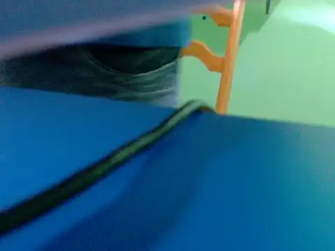 Snapshot of pau888kkkk chatting on September 30, 2025, 10:32 am pau888kkkk online show from September 30, 2025, 10:32 am