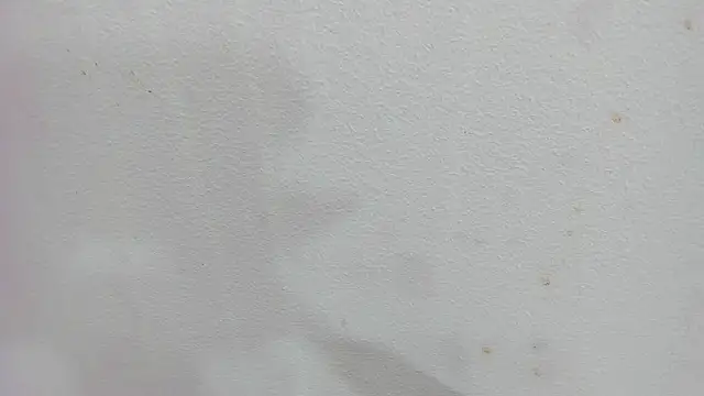 Snapshot of scarlett646 chatting on December 4, 2025, 3:05 am scarlett646 online show from December 4, 2025, 3:05 am