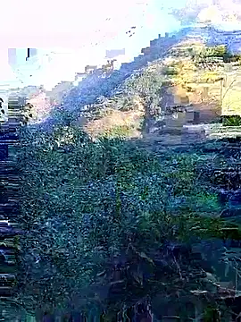 Snapshot of misa_00 chatting on November 29, 2025, 1:06 am misa 00 online show from November 29, 2025, 1:06 am