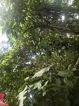 Snapshot of dulcelatin21 chatting on November 25, 2025, 7:58 pm dulcelatin21 online show from November 25, 2025, 7:58 pm