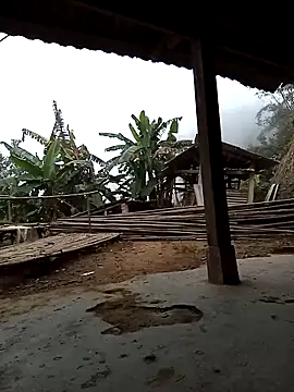 Sa2mh20 online show from December 5, 2025, 1:05 am