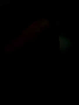 Novindapikgrossa online show from December 19, 2025, 11:34 am