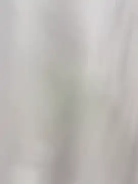 Snapshot of king_godgm chatting on September 10, 2025, 2:10 am king godgm online show from September 10, 2025, 2:10 am