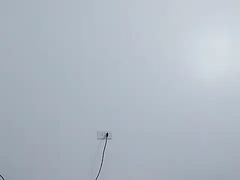 Snapshot of Siglemom_sexy chatting on April 1, 2026, 7:55 pm Siglemom sexy online show from April 1, 2026, 7:55 pm