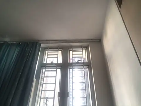Snapshot of tpl131452 chatting on May 24, 2026, 10:26 am tpl131452 online show from May 24, 2026, 10:26 am