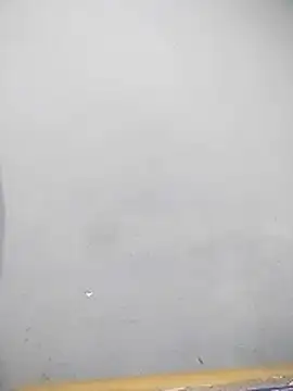 Snapshot of YourTarzan chatting on December 15, 2025, 8:09 am YourTarzan online show from December 15, 2025, 8:09 am