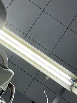 Snapshot of DHJM168 chatting on December 16, 2025, 1:21 am DHJM168 online show from December 16, 2025, 1:21 am