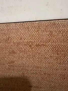 LVarjun online show from November 14, 2025, 5:44 am