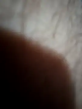 Beefitout online show from April 17, 2026, 10:56 pm