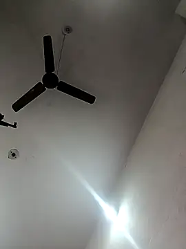 Appypie online show from October 29, 2025, 6:01 am