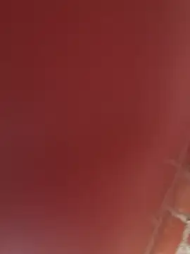 RAKEL37 online show from November 23, 2025, 4:17 pm