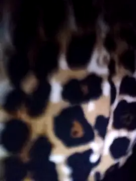 Thaohoa love online show from February 22, 2026, 9:49 pm