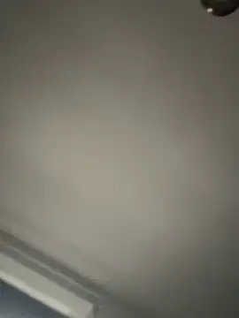 stevo170t online show from February 15, 2026, 9:58 pm