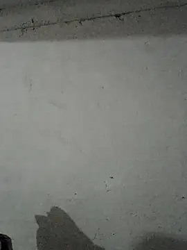 Elkato69 online show from February 26, 2026, 3:23 pm