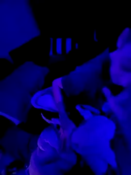 Snapshot of Ghost_Face803 chatting on March 3, 2026, 6:42 am Ghost Face803 online show from March 3, 2026, 6:42 am