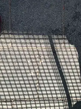 GeilerHSVFAN1989 online show from April 12, 2026, 9:01 am