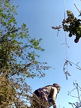 Snapshot of Hot-honi chatting on December 18, 2025, 7:35 am Hot-honi online show from December 18, 2025, 7:35 am