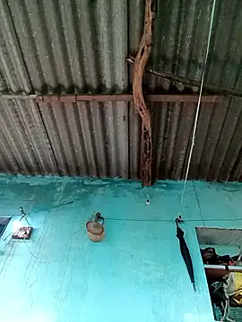 Snapshot of Hot-honi chatting on September 21, 2025, 11:48 am Hot-honi online show from September 21, 2025, 11:48 am