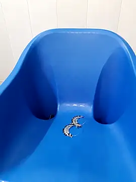 Snapshot of siya_rani67 chatting on September 14, 2025, 3:40 am siya rani67 online show from September 14, 2025, 3:40 am