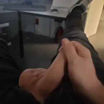 stunning stallion online show from October 23, 2025, 9:35 pm