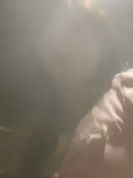 AnHa19 online show from March 1, 2026, 9:42 am