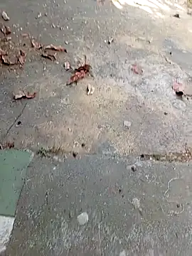 aquel boy xx online show from October 27, 2025, 8:43 pm