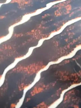 Idhika Handoo online show from February 13, 2026, 11:54 am