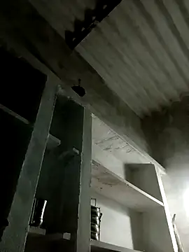 Payal950 online show from November 8, 2025, 12:42 pm