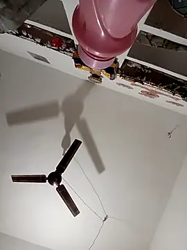 Payal950 online show from November 15, 2025, 12:03 am