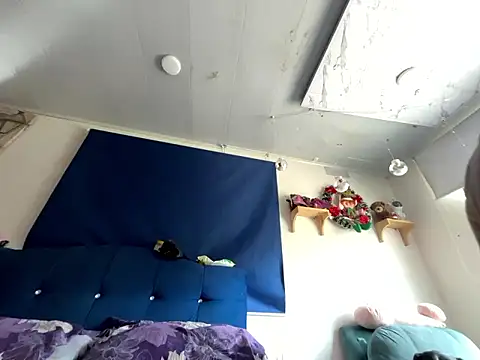 amanne misa online show from January 15, 2026, 3:37 pm