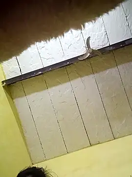 Snapshot of Seema_guptaji chatting on November 15, 2025, 9:19 pm Seema guptaji online show from November 15, 2025, 9:19 pm