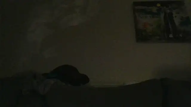 branletteur online show from October 6, 2025, 7:53 am