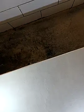 xyz-indian online show from October 28, 2025, 2:49 pm