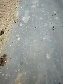 Snapshot of SmartLoda143 chatting on November 19, 2025, 11:10 am SmartLoda143 online show from November 19, 2025, 11:10 am