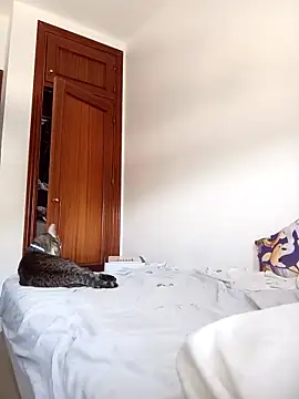 Snapshot of oscartres chatting on September 19, 2025, 9:24 am oscartres online show from September 19, 2025, 9:24 am